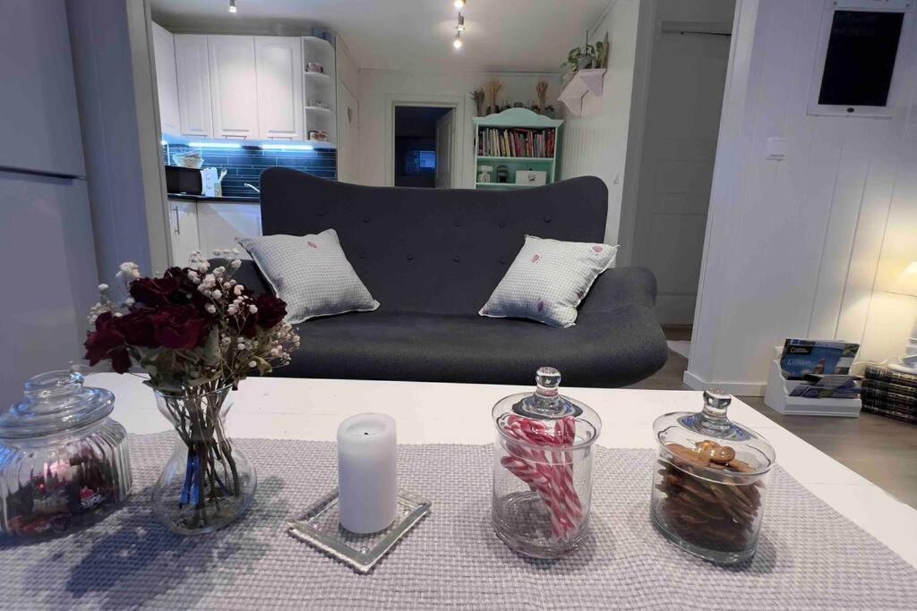 Marta'S Home-Cozy Appartment Near The Airport Andselv Luaran gambar